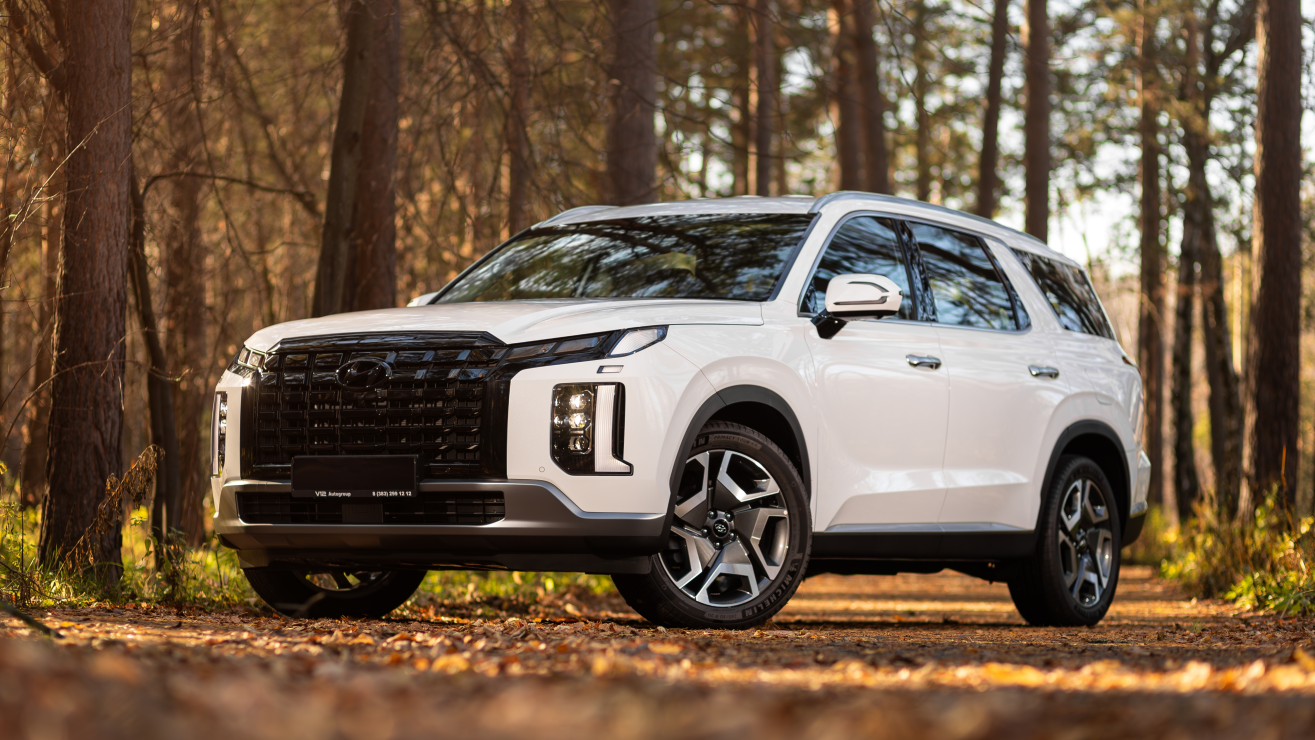 Hyundai Palisade - recall